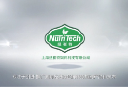 上海纽崔特企业视频